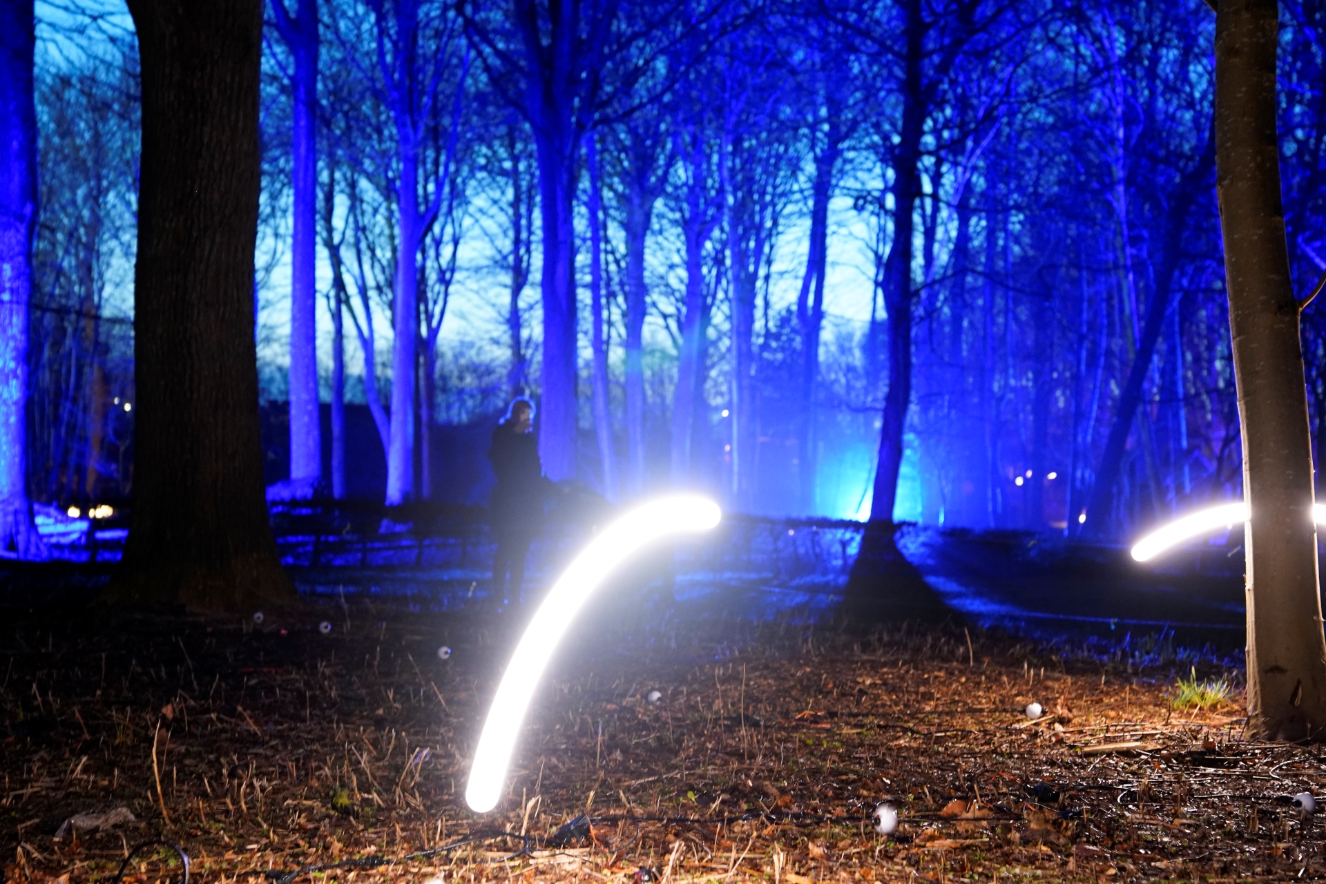 Bouncing Ideas_DSC1124