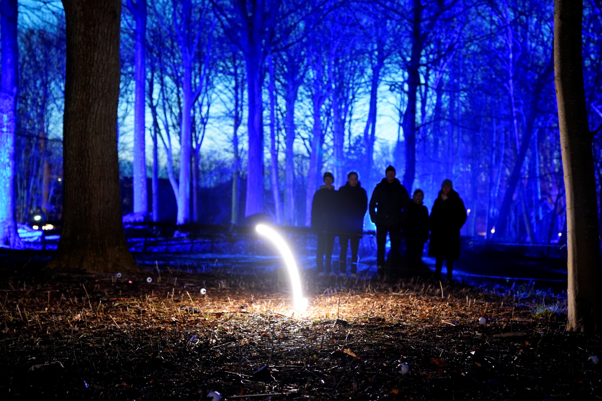 Bouncing Ideas_DSC1142