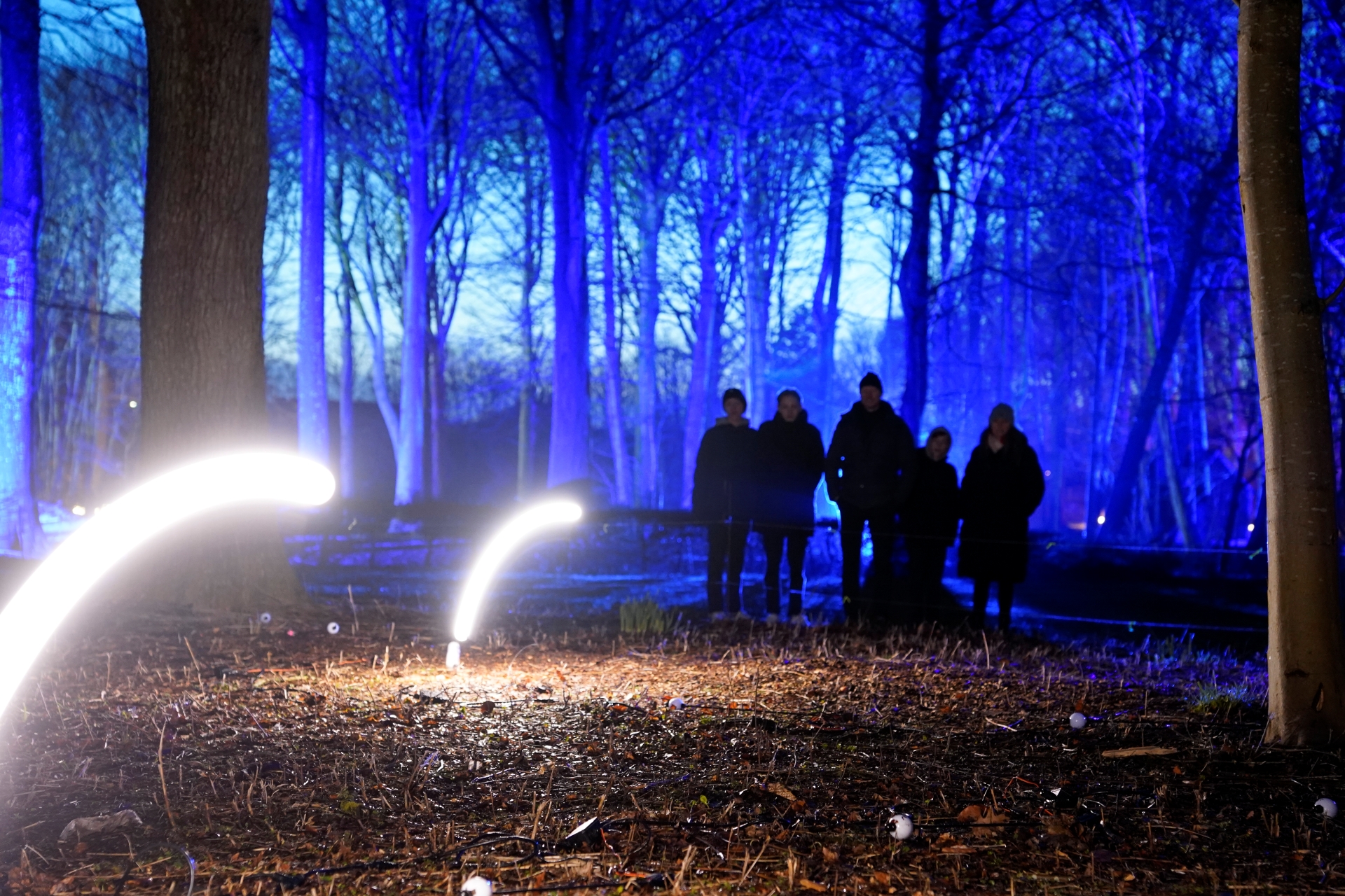 Bouncing Ideas_DSC1145