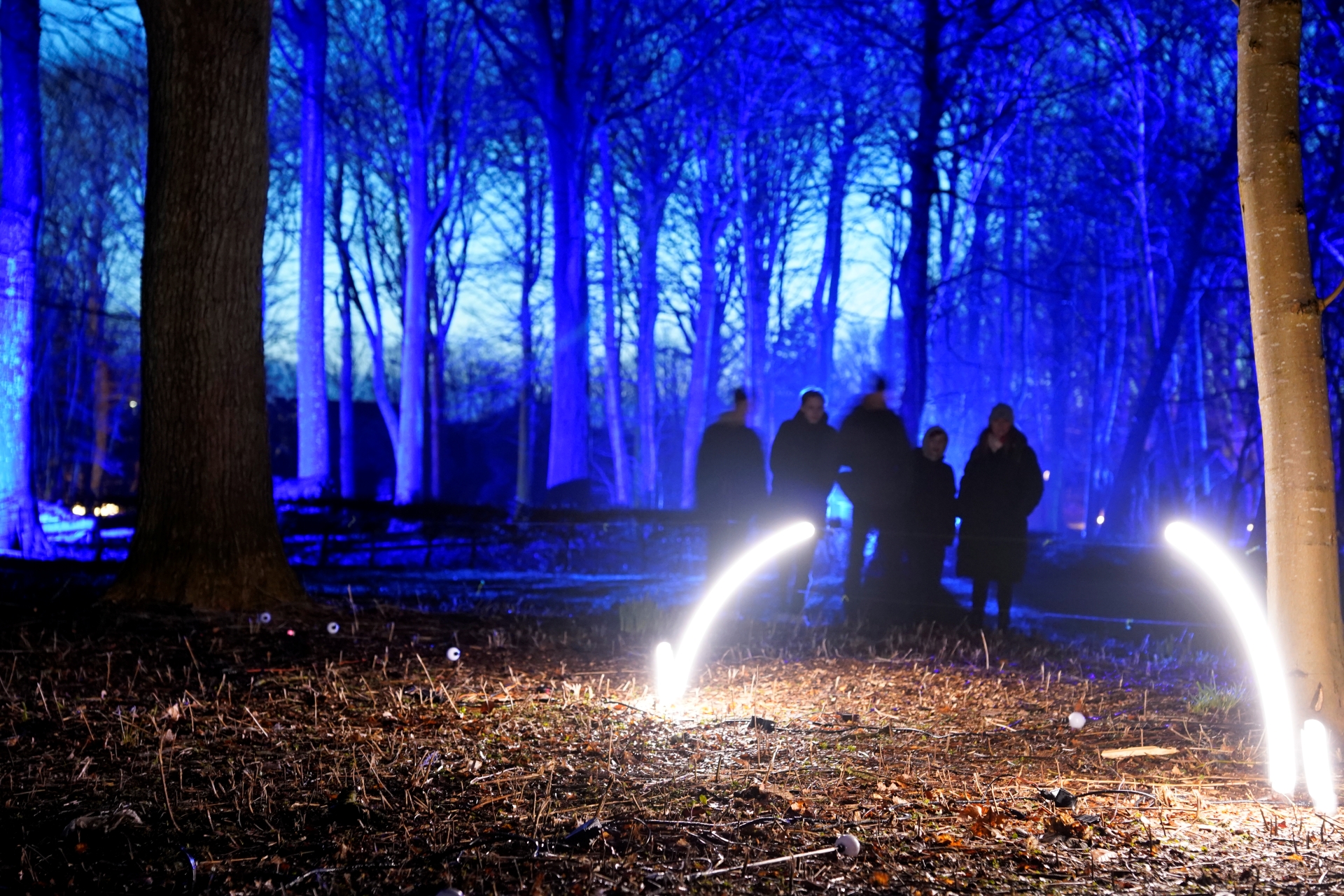 Bouncing Ideas_DSC1146