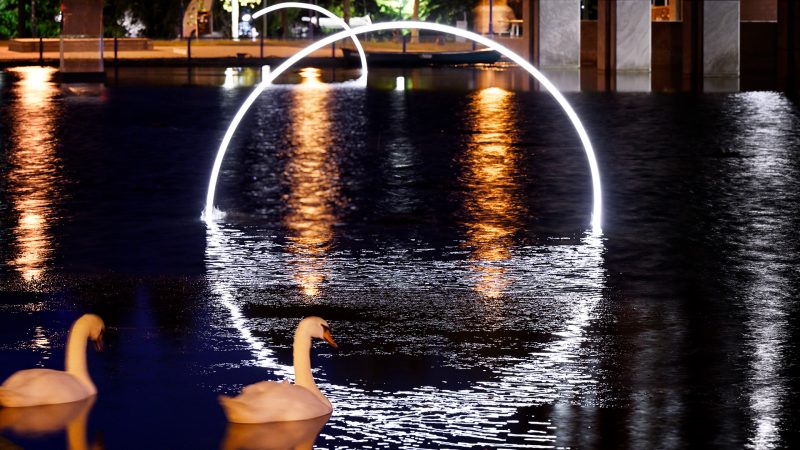 Nederland, Eindhoven, november 2022. 
'Fish are Jumping' door Studio Toer, tijdens het jaarlijkse Glow Festival in Eindhoven. 
foto: GLOW Eindhoven / Bart van Overbeeke