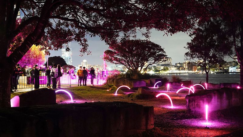 Flea-Circus-Vivid-Sydney-Toer-landscape-audience-09